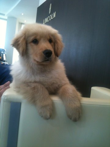 Kiseok Moon tweet media