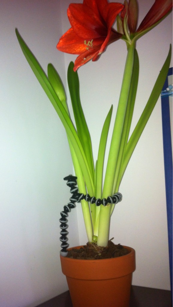 woukec's tweet photo. How to use gorillapod... http://t.co/Hw1CVQdm