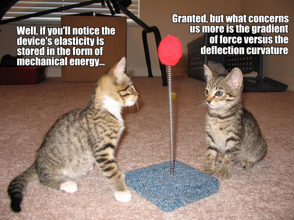 Cats discuss Newtonian Physics. :)