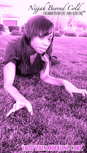 ValidVixenModel tweet picture