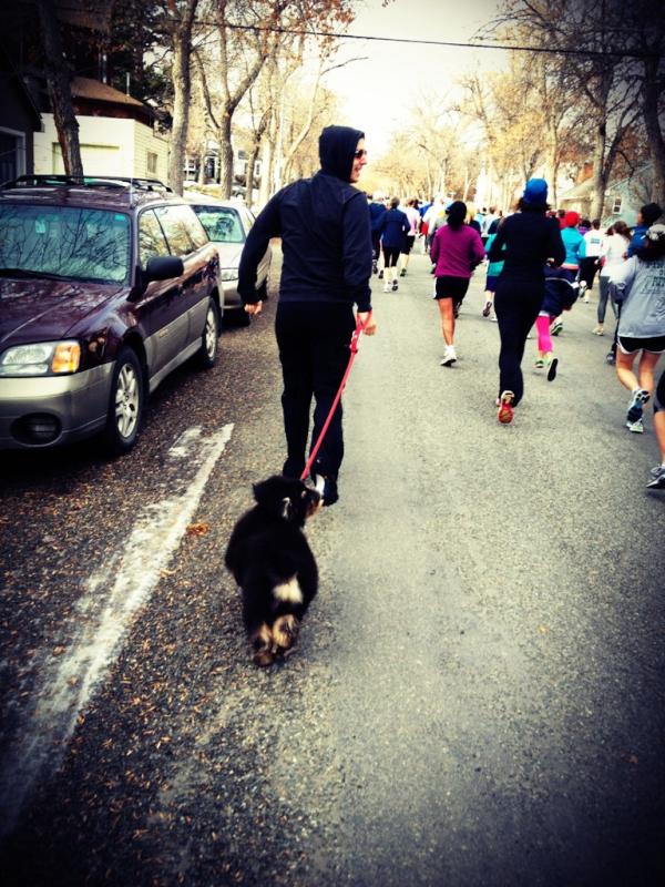 PixelMorin's tweet photo. I had so much fun at the turkey trot today...but, where were all the turkeys? http://t.co/XJyeZs39