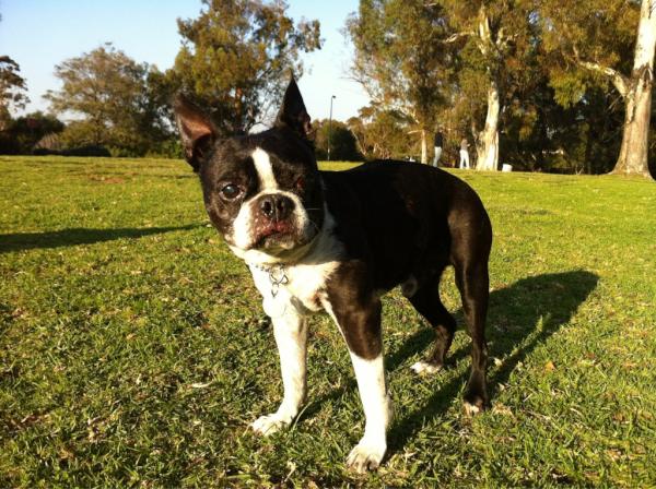 Tod Swank tweet media