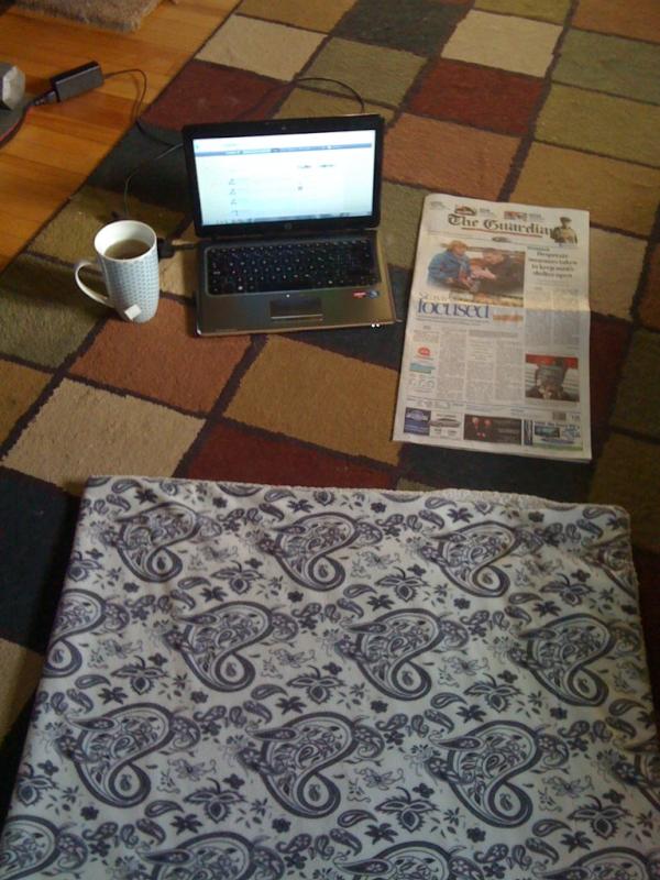 ZachCurrie's tweet image. Ahh the weekend office. What&apos;s the plans for tonight? #Bolger @jeffmac_pei allowed in with no stache? #rodentproblems