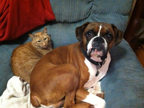 pjkimber's tweet photo. Busted. #feelingthelove http://t.co/24OcXI7l