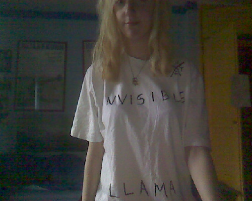 yooniefruity's tweet image. Homemade FT tshirt is on and I&apos;m more excited than ever for tonight! :D #fthctour