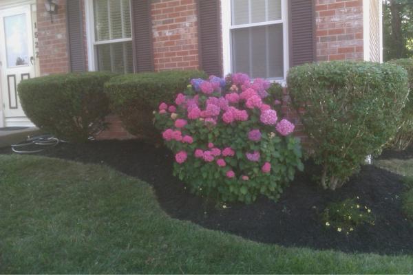 TrimWorks31 tweet picture