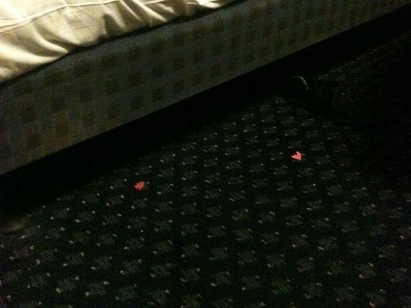 hanabizzle's tweet image. Our hotel room in Kingston, now. Those pink specks are confetti from Manchester last night #fthctour