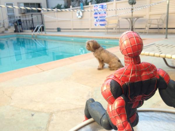 unLEASHED Web Series tweet media