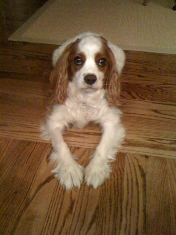 Kate_Sumner tweet picture