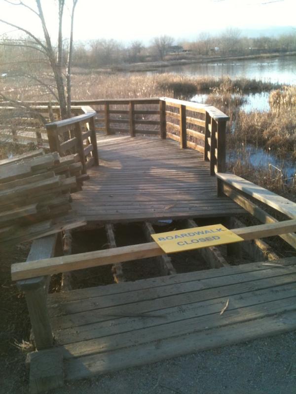 BocoRanger's tweet image. Improvements continue at Walden Ponds.  Boardwalk is getting a facelift so it's temporarily closed.