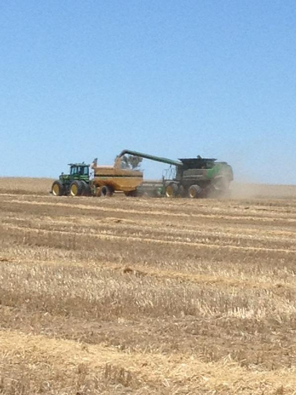 carree1983's tweet image. @boodge17 @Gointsa @StrongArm17 @PGA_JohnDaly getting shit done #practisetime