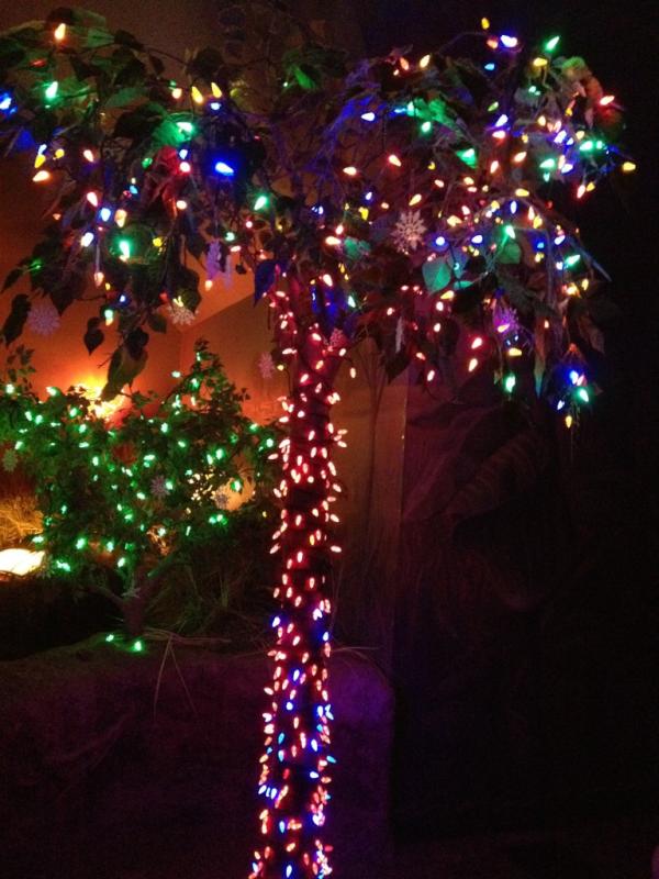 HeithemE's tweet image. @crew_ging Any time! Some of your #awesomecrewfam went to Wildlights at the Columbus Zoo last night. #BeautifulButCold