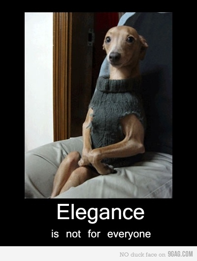 funnymemes's tweet photo. http://t.co/rMHz1x0c