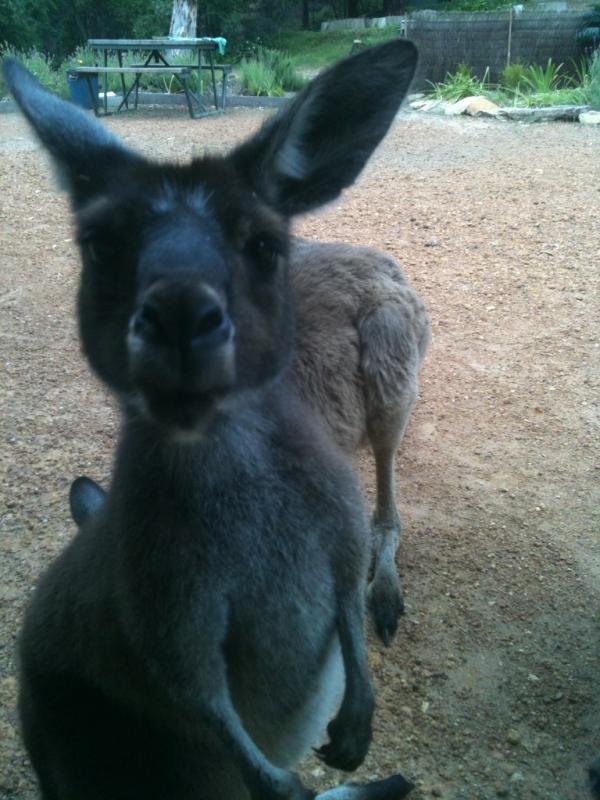 Fiona McColley tweet media