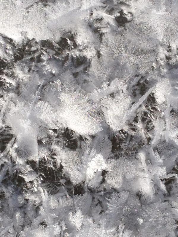 BocoRanger's tweet image. Pretty ice crystals on the surface of Lagerman Reservoir!  Dress warm if you head out.