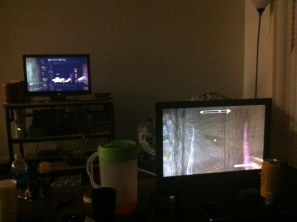 ringlingtype's tweet image. Dual Skyrim playing up in this living room. @barkingcows @liliflamingo