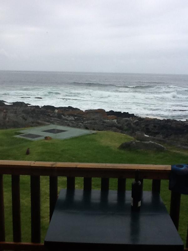 toadwhat's tweet image. Nothing like doing nothing while watching the ocean on a wednesday morning