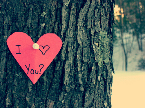 marguitarr's tweet photo. Fato ~> Lindoo (y' http://t.co/3L8HBNJl