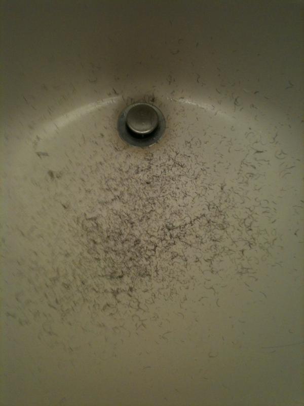 jhorts__'s tweet image. #Stepfour