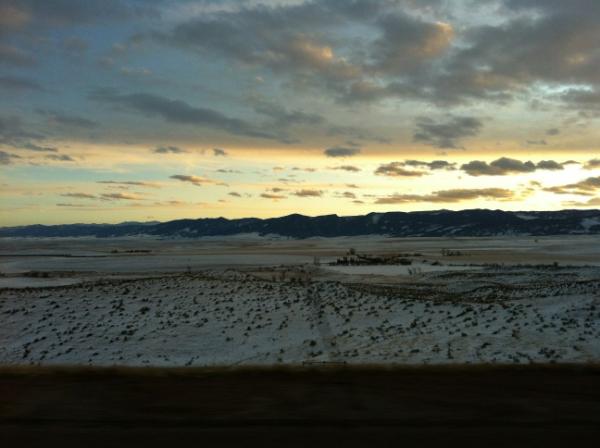 trey mullen tweet media