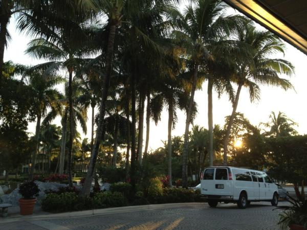 francorg's tweet image. Good morning Miami!!