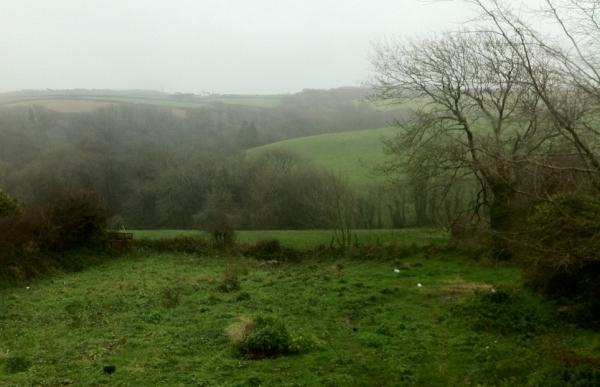 ProjectPiper's tweet image. This is what coastal rainy days look like...