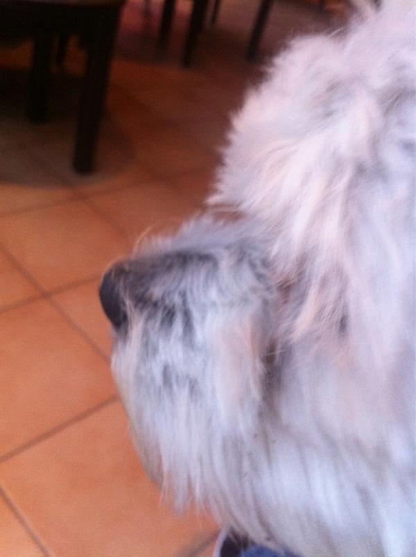 tger71's tweet image. Moutsouna