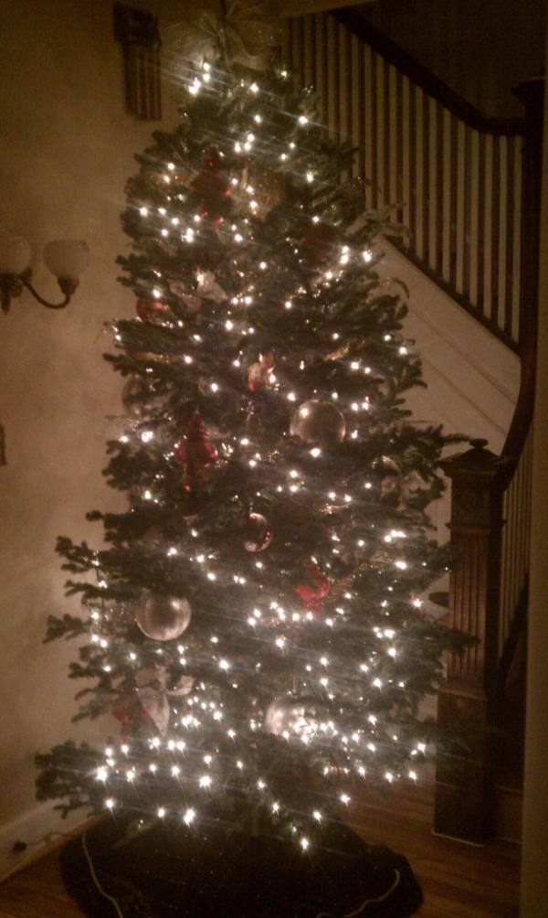 Sweaterfest's tweet photo. Intrepid followers: the tree is lit and party preparations are in full swing.  #holidaysweaterparty #whiteelephant http://t.co/jWwWF6ev