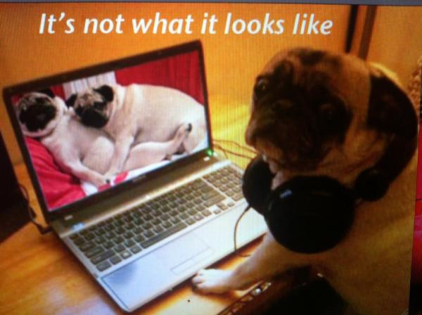 NSFW!!! Have a great night.