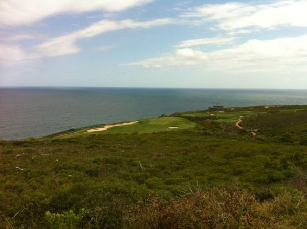 toadwhat's tweet image. It is so very pretty