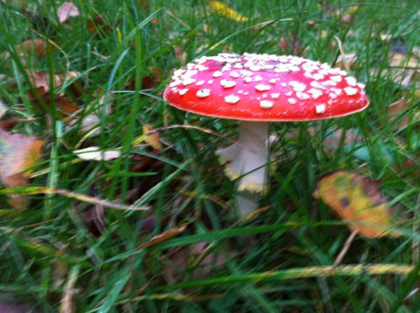 Jachthaven Het Anker tweet media