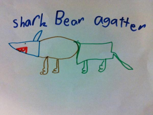 Image result for alligator bear shark