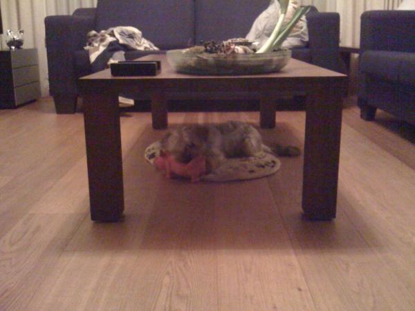 Kimjans's tweet photo. @fremzz @KnuimanS http://t.co/n2pUDqUk