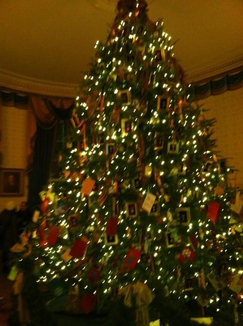 jaggerbytez's tweet image. That's a huge white house tree