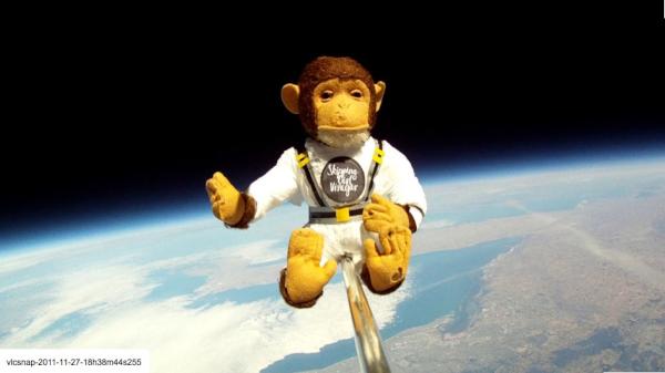 DoctorKarl's tweet photo. Monkey In Space (Part 2) This image taken@ 110,000 feet above the earth - real raw image NO PHOTOSHOP IS USED. (PEGS) http://t.co/nJ2n72lC