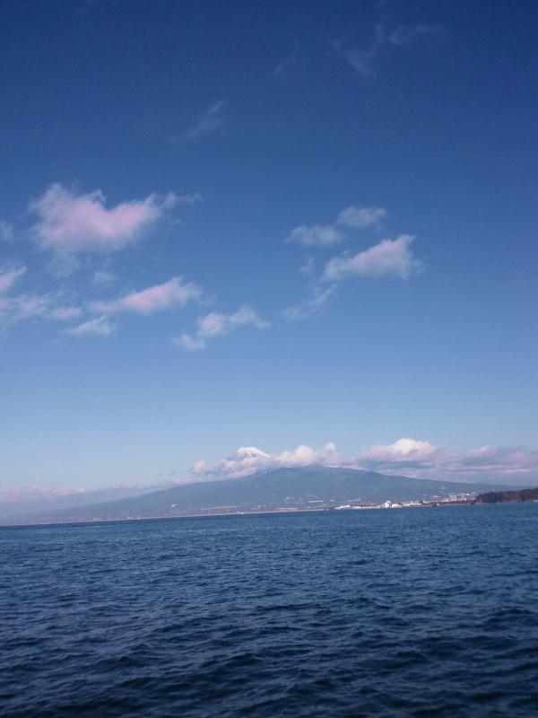 駿河湾なう！気持ちいいっす。