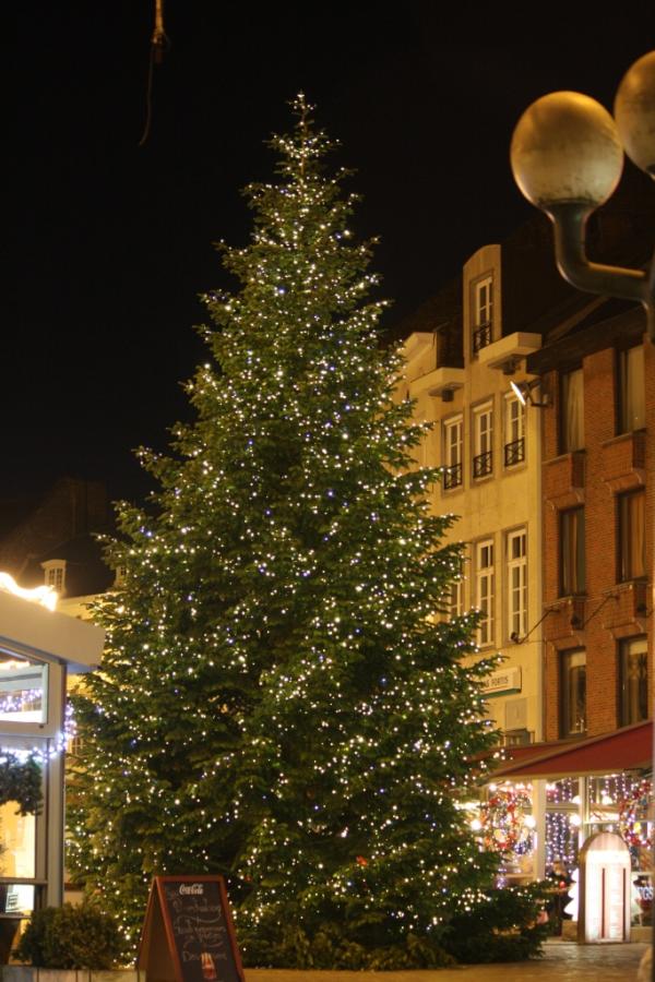 Festilight's tweet photo. #Hasselt #kerstboom ... mooi ! http://t.co/ar3KQKKp