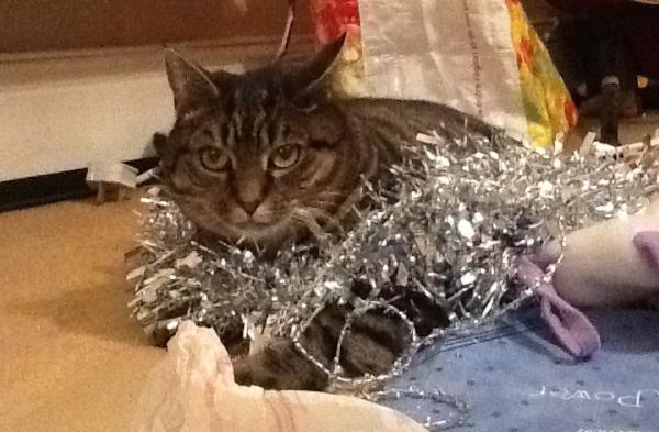 Tigger and the Tinsel