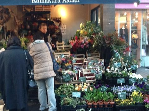 鎌倉花壇 Kamakurakadan Twitter 鎌倉花壇 Kamakurakadan Twitter