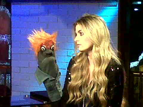 Star de Noche tweet media