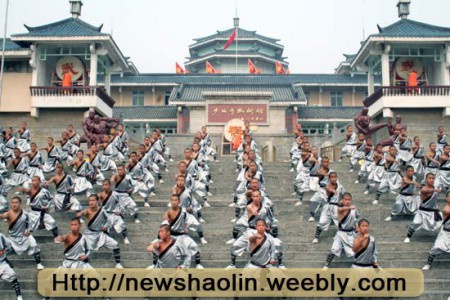 shaolinkungfu1's tweet image. 