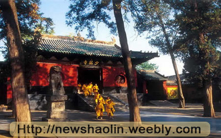 shaolinkungfu1's tweet image. 