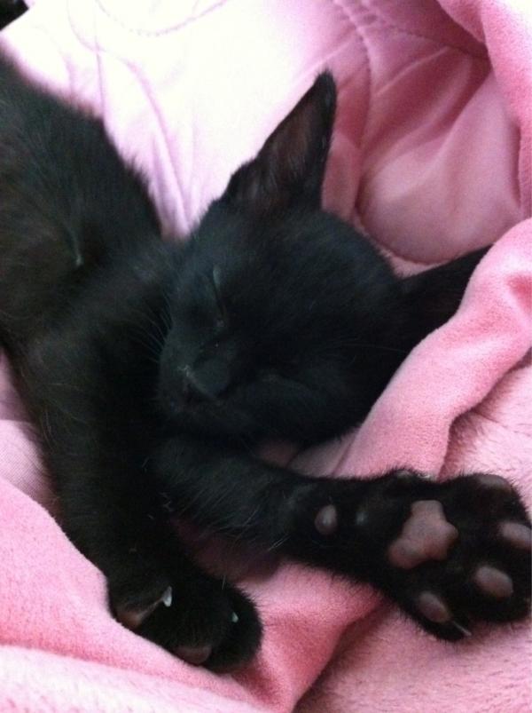 jjune0242's tweet photo. 부추보고퐝 http://t.co/ERHrUFYJ