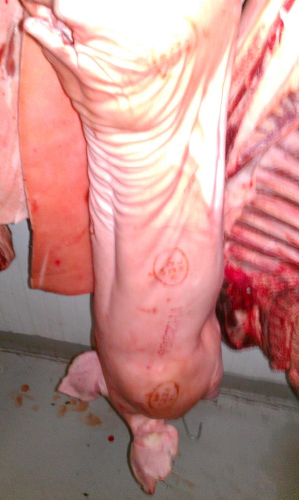 Ham Day tweet media