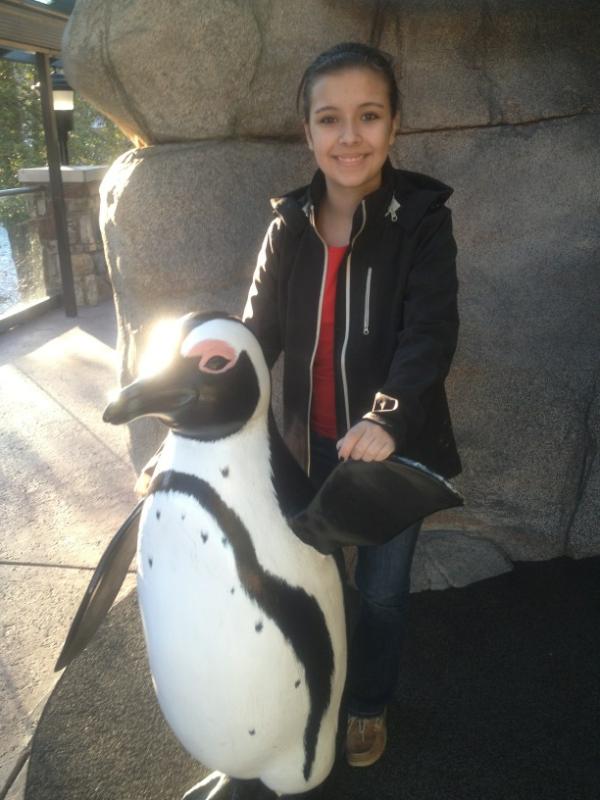 Fiona McColley tweet media