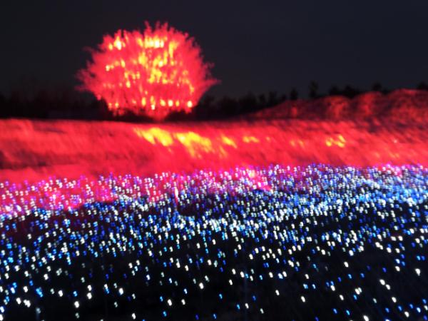 なばなの里行って来ました。新しい日本の四季のイルミが凄かった！(ﾟДﾟ)