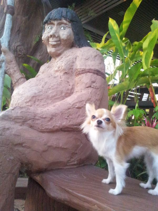 HanieBeee's tweet photo. หมาน้อย http://t.co/x5s1HxIj