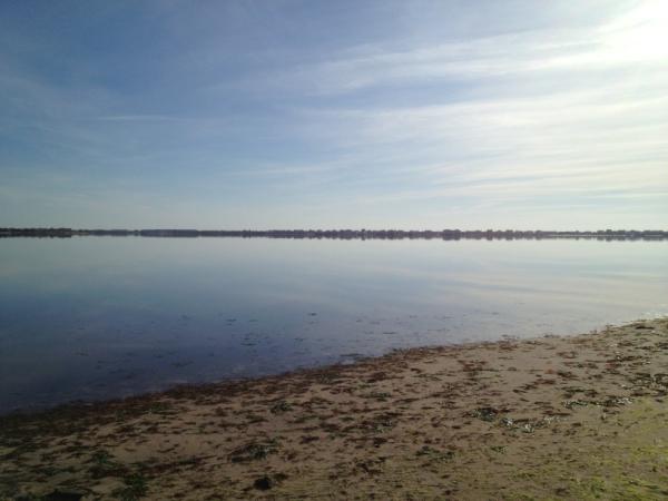 kazunks's tweet image. Moriches bay