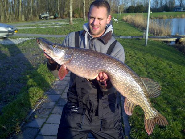 Fish4Future's tweet image. Vandaag zelf weer eens op pad geweest met als resultaat een mooie dikke dame van 107cm #snoek