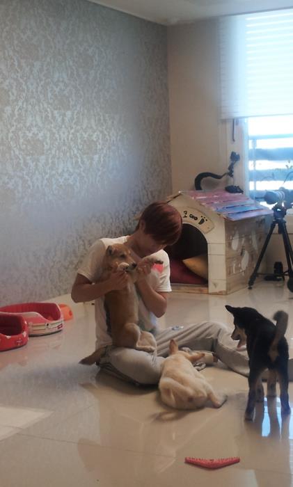 INFINITEfact's tweet photo. [pic] Leader Gyu with dubu , coco and nurung – BOAF http://t.co/34h7R25L